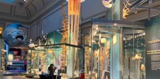 Duerme dentro de un museo en Washington, DC. Hay experiencias que no se compran con “más días de viaje”, sino con acceso a lo imposible.