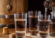 Valija Viajera Gran hub aéreo: visión de Estado, no de sexenio * “Raíces ancestrales”: Destilados artesanales