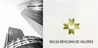 Prisma empresarial Registró un sólido desempeño