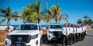 Ángeles Verdes te apoya desde tu celular Ángeles Verdes, más cerca a través de su app