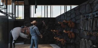 Mundo Charro y la infraestructura que detonará nuevo polo turístico en Hidalgo Infraestructura física de 34 hectáreas ya construidas y más de 65 de bosque y naturaleza