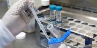 Prisma empresarial La tuberculosis no ha desaparecido. En 2024 provocó 1.23 millones de muertes a nivel global