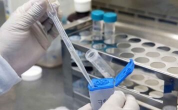 Prisma empresarial La tuberculosis no ha desaparecido. En 2024 provocó 1.23 millones de muertes a nivel global