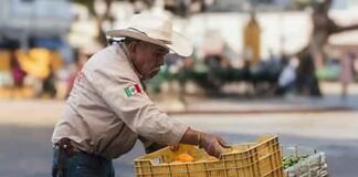 Prisma empresarial Moody’s y Fitch Ratings ya redujeron la calificación de deuda soberana de México