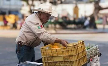 Prisma empresarial Moody’s y Fitch Ratings ya redujeron la calificación de deuda soberana de México