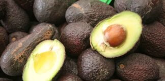 Prisma empesarial Podrían ser frenadas las exportaciones de aguacate mexicano