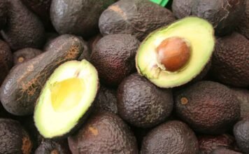 Prisma empesarial Podrían ser frenadas las exportaciones de aguacate mexicano