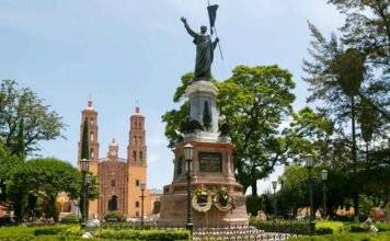 Valija Viajera México, también se conoce brindando.