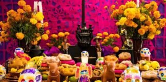Valija Viajera El Día de Muertos en México ofrece distintas experiencias