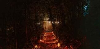 ¿Team Día de Muertos o Team Halloween? Wander Cabins en Valle de Bravo se visten de cempasúchil, faroles y calabazas
