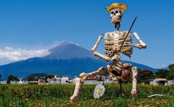 Valija Viajera Celebra el Día de Muertos